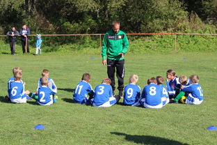 爱游戏体育娱乐-国足对不同战术体系适应能力评估，国足体能与技术分析